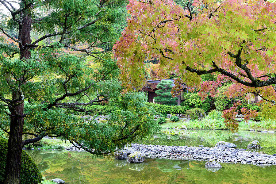 Japanese Garden, Seattle #2 Digital Art by Michael Lee