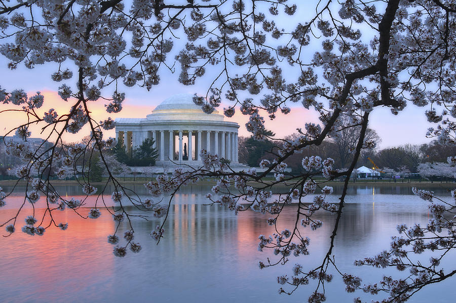 Spring time at the Jefferson Memorial Photograph by Dennis Kowalewski