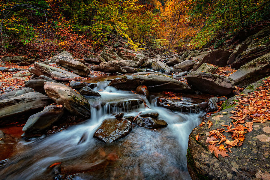 Fall Photograph - Kaaterskill Creek #1 by Rick Berk