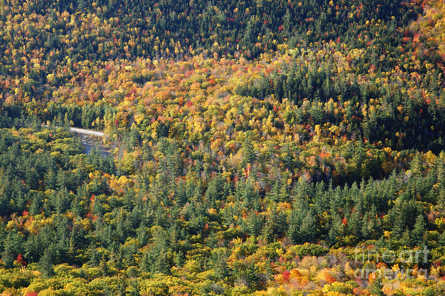 Landscape Photograph - Kancamagus Highway - White Mountains New Hampshire USA #2 by Erin Paul Donovan