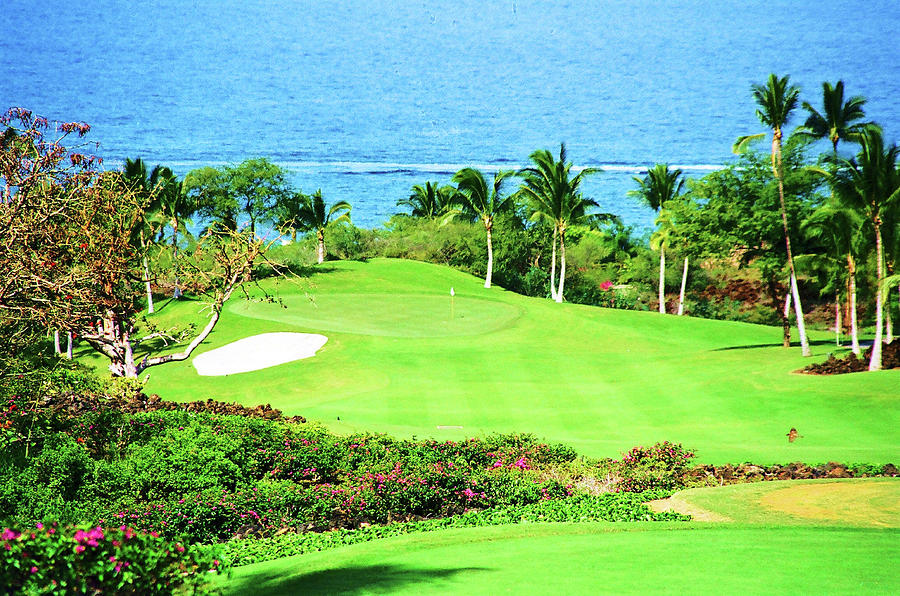 Kapalua Bay Golf Course Photograph by Nancy Jenkins Fine Art America