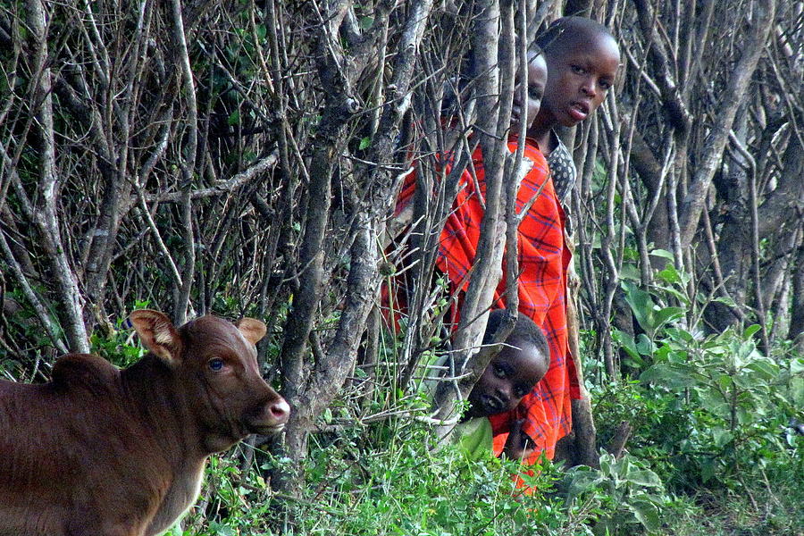 Kenya #2 Photograph by Paul James Bannerman
