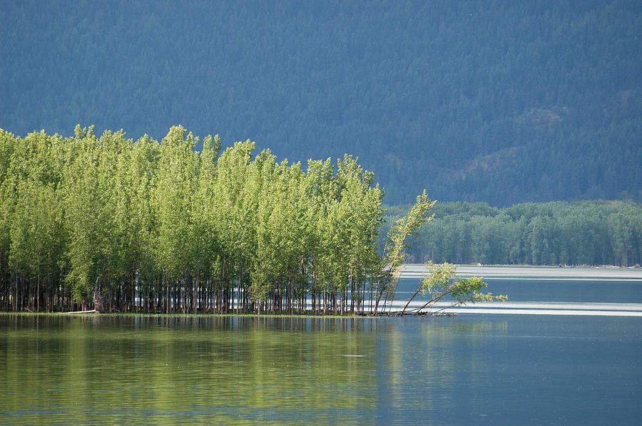 Kootenay Lake, British Columbia. #3 Photograph by Rob Huntley