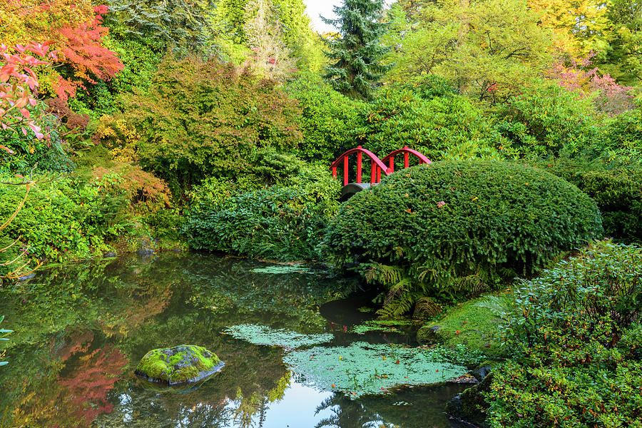 Kubota Garden, Seattle #2 Digital Art by Michael Lee