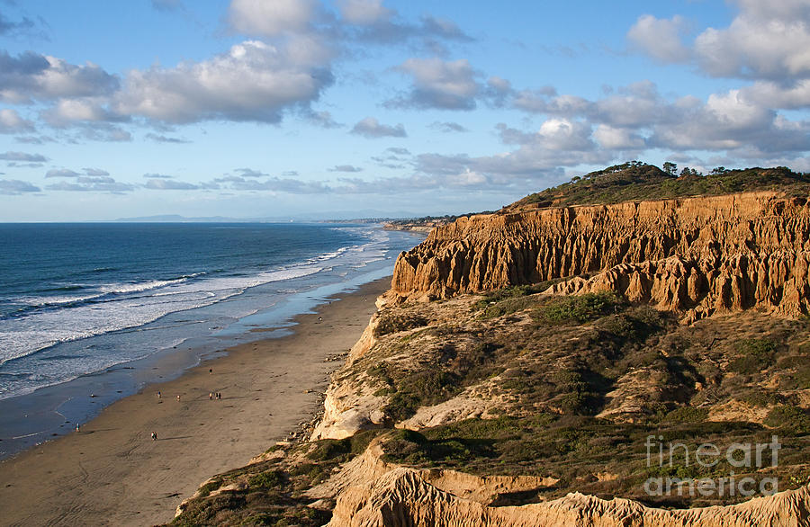 La Jolla California Coast at Torrey Pines State Park #2 Photograph by ELITE IMAGE photography By Chad McDermott
