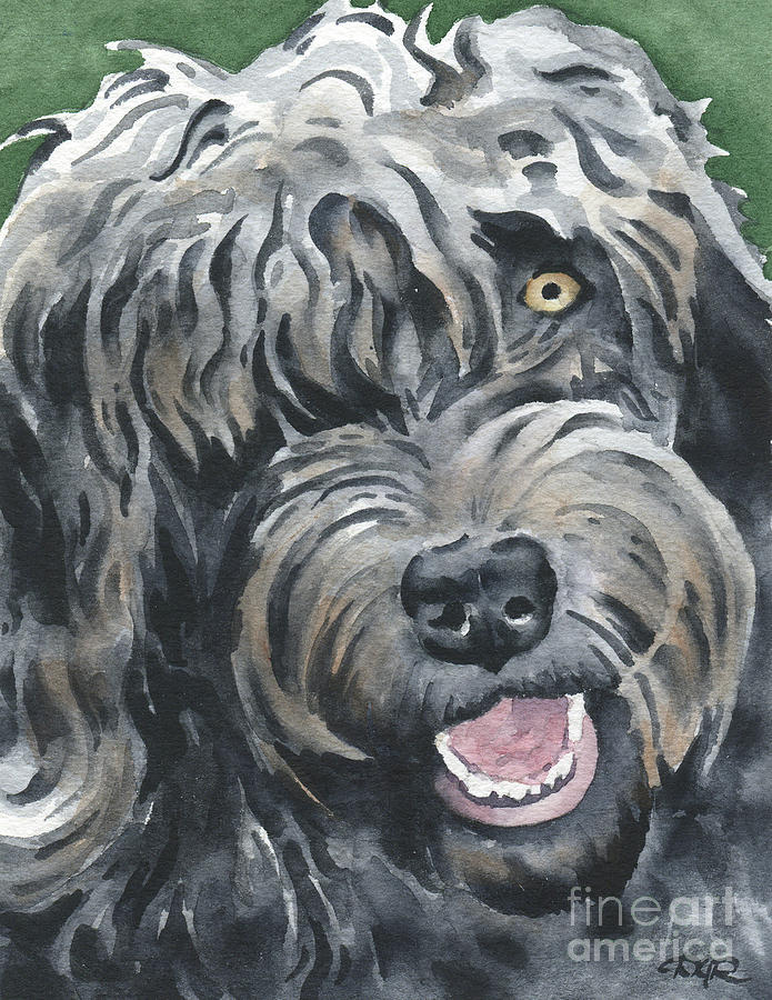 Portrait Painting - Labradoodle #1 by David Rogers