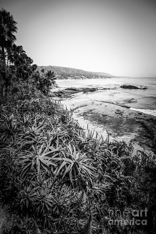 Laguna Beach Black And White Photo Photograph