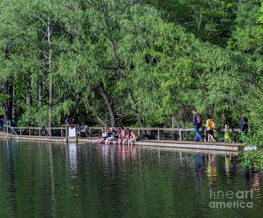 Lake Eden Arts Festival Photograph by David Oppenheimer Pixels