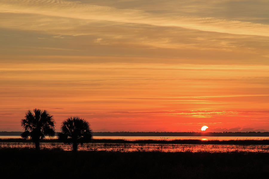 Lake Jesup Sunrise #2 Photograph by Stefan Mazzola