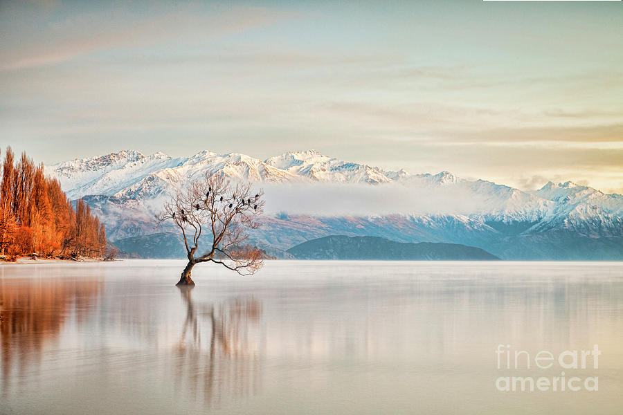 Lake Wanaka Otago New Zealand #2 Photograph by Colin and Linda McKie
