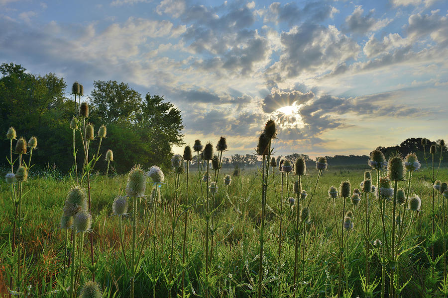 Lakewood Forest Preserve Sunrise #2 Photograph by Ray Mathis