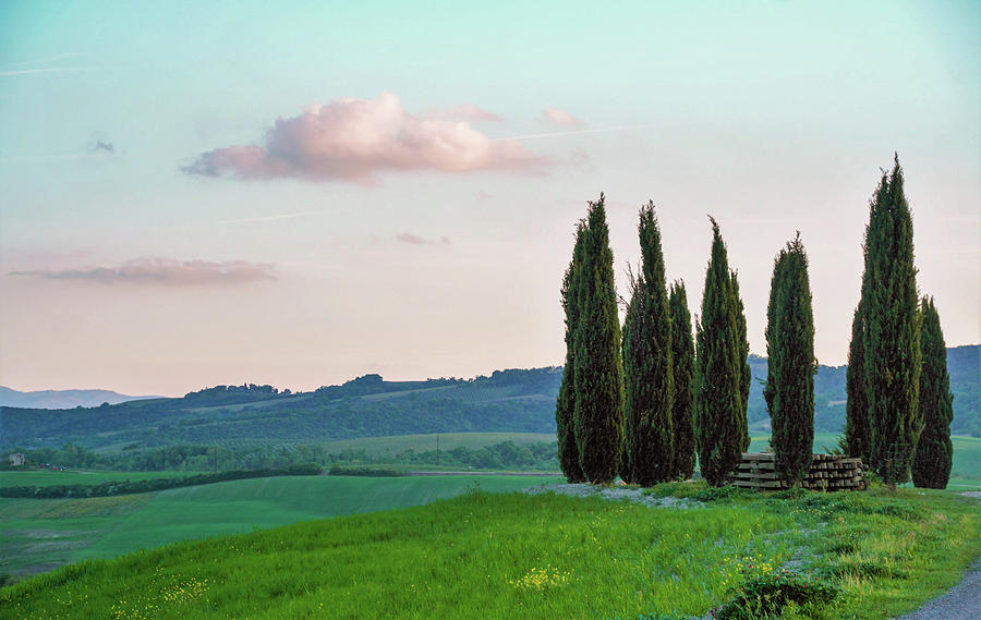 Sunset Photograph - Landscape of tuscan countryside in spring #2 by Laura Di Biase