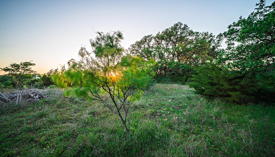 Landscapes Around Willow City Loop Texas At Sunset #2 Photograph by Alex Grichenko