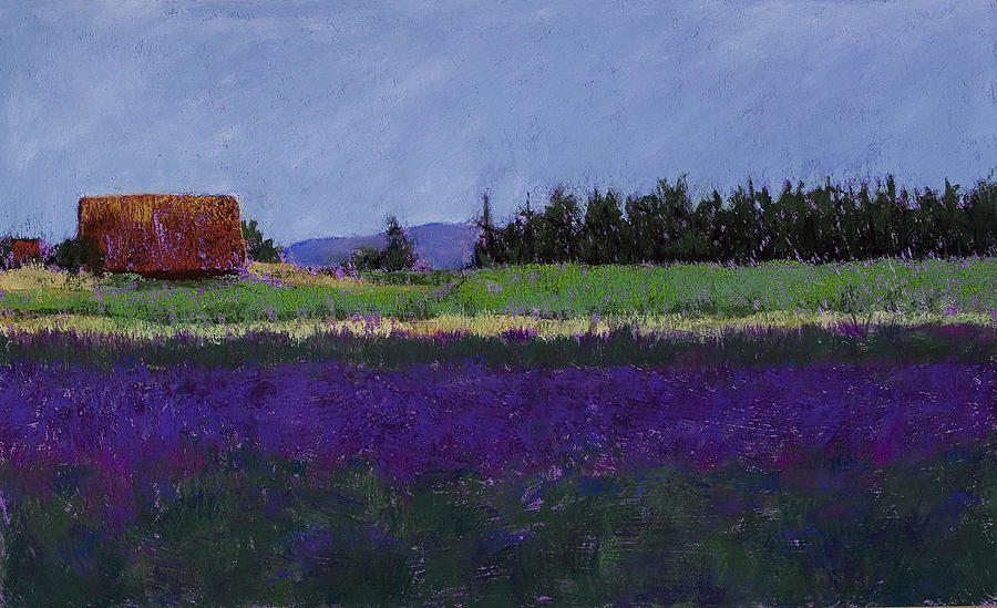 Lavender Farm #1 Pastel by David Patterson