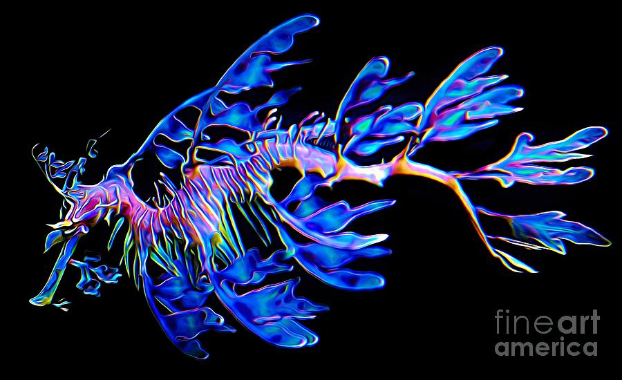 Sea Dragon Photograph - Leafy Sea Dragon #2 by Paulette Thomas