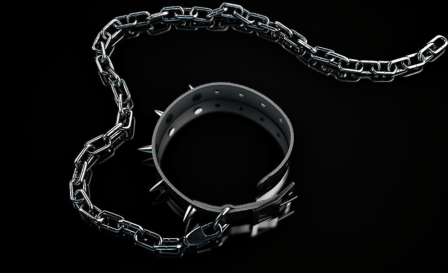 Animal Digital Art - Leather Studded Collar And Chain #2 by Allan Swart