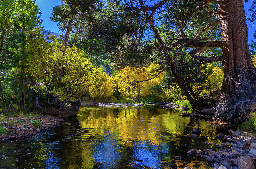 Lee Vining Creek Photograph by Javier Flores - Fine Art America