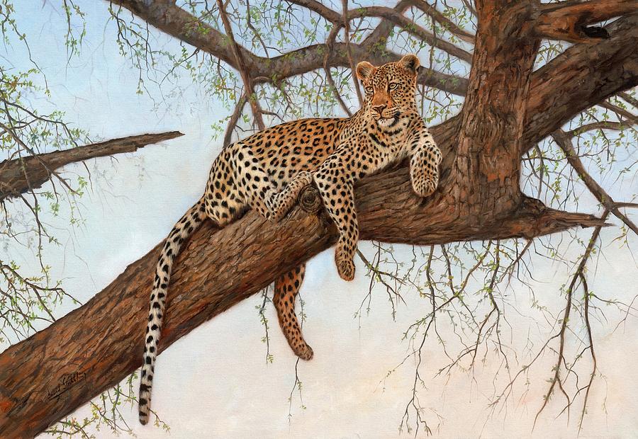 Leopard In Tree #2 Painting by David Stribbling