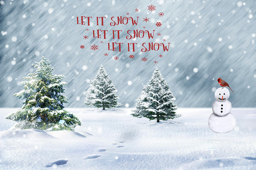 Let It Snow Photograph by Cathy Kovarik