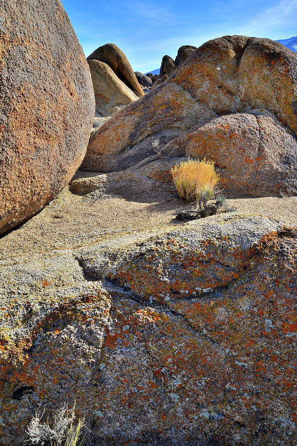 Lichen Covered Boulders in the Alabama Hills #2 Photograph by Ray Mathis