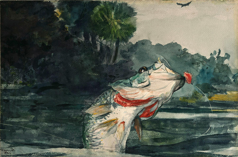 Life-Size Black Bass Drawing by Winslow Homer