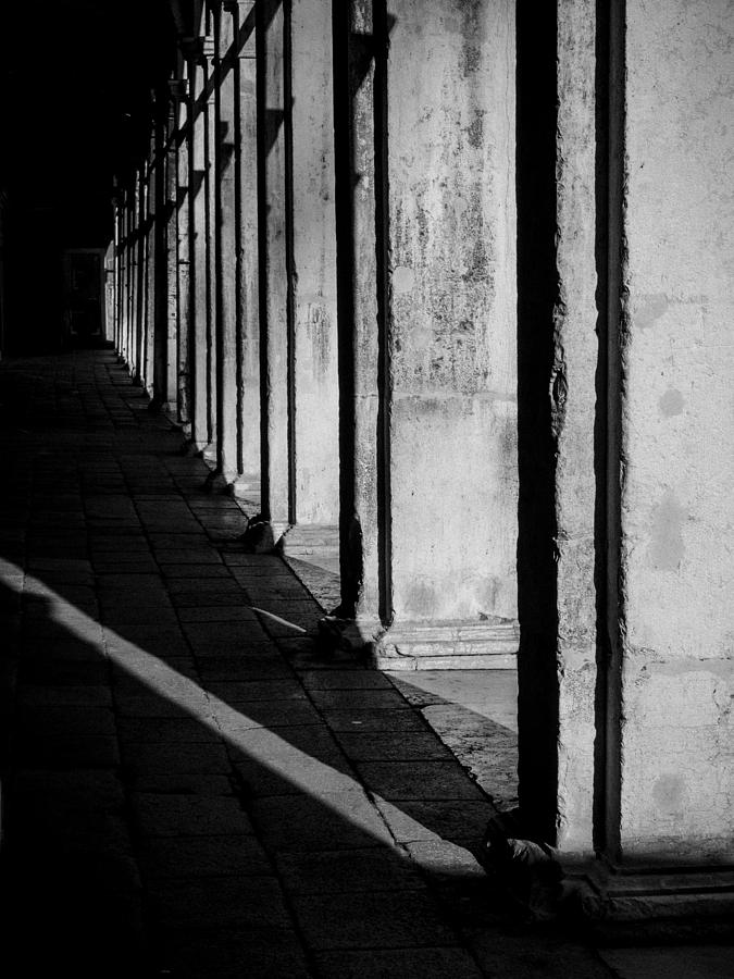 Light and Shadow #2 Photograph by David Kay