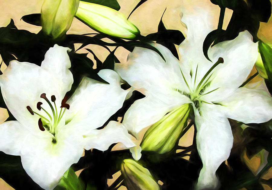 Lilies #2 Photograph by John Freidenberg