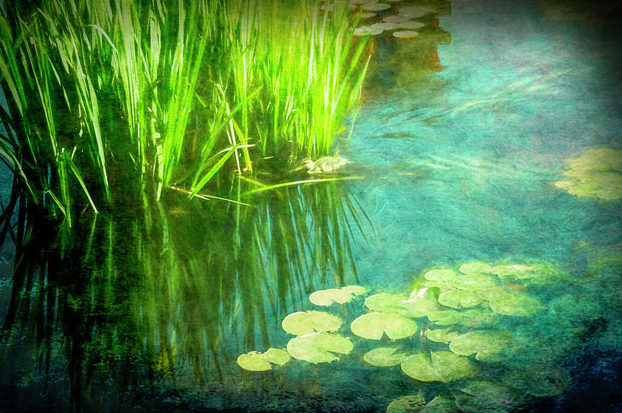 Lily Pads #2 Painting by Ann Powell