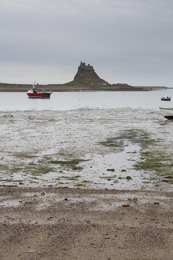 Lindisfarne Castle, holy island #3 Photograph by Chris Smith