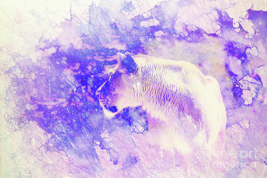 lioness and graphic effect. Computer collage. Marble effect. Mixed ...