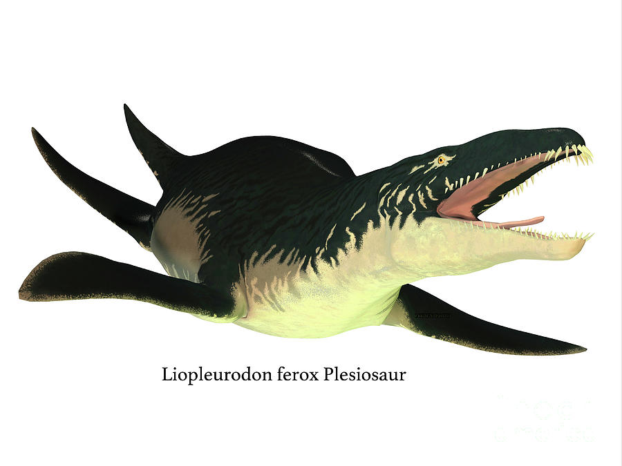 Liopleurodon Marine Reptile Digital Art