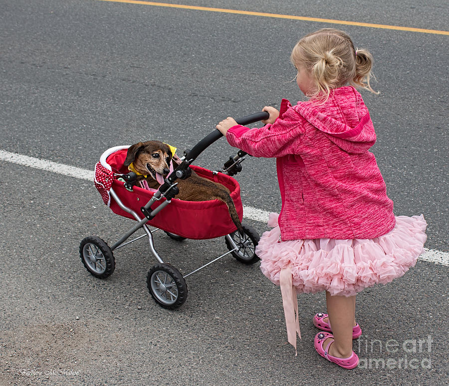 Dog Photograph - Little Girls and Puppy Tails #2 by Barbara McMahon