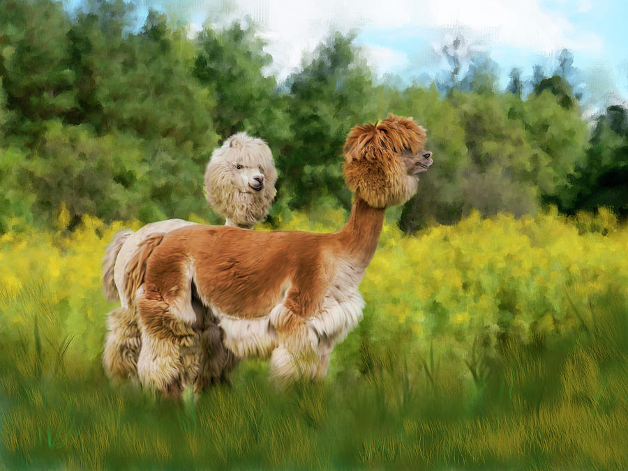 2 Little Llamas Photograph by Mary Timman
