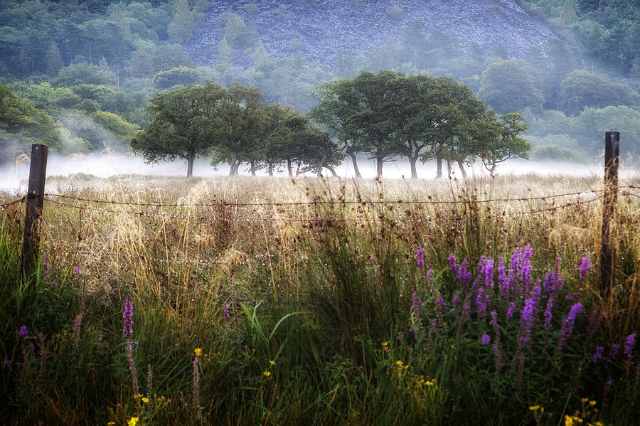 Llanberis - Wales #2 Photograph by Joana Kruse