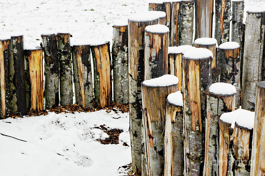 Log fence in the snow #2 Photograph by Tom Gowanlock
