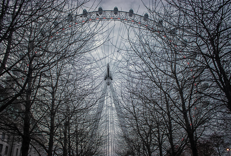 London Photograph - London Eye #2 by Martin Newman