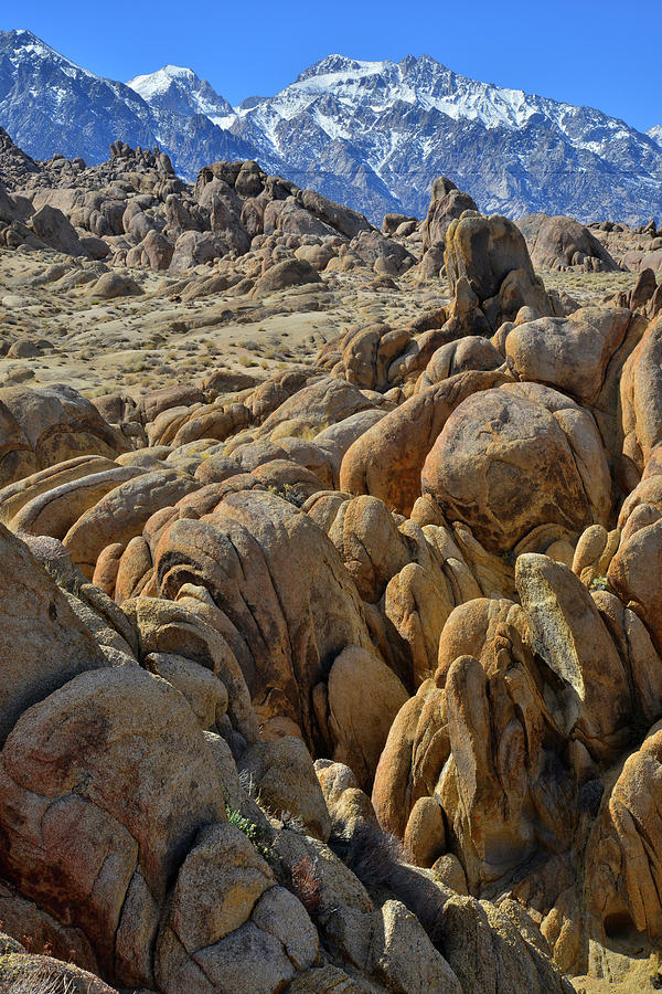 Lone Pines Alabama Hills #2 Photograph by Ray Mathis