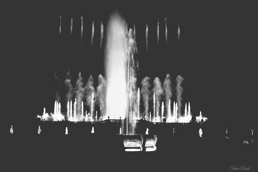 Longwood Gardens Fountains Black and White Photograph by Trina Ansel