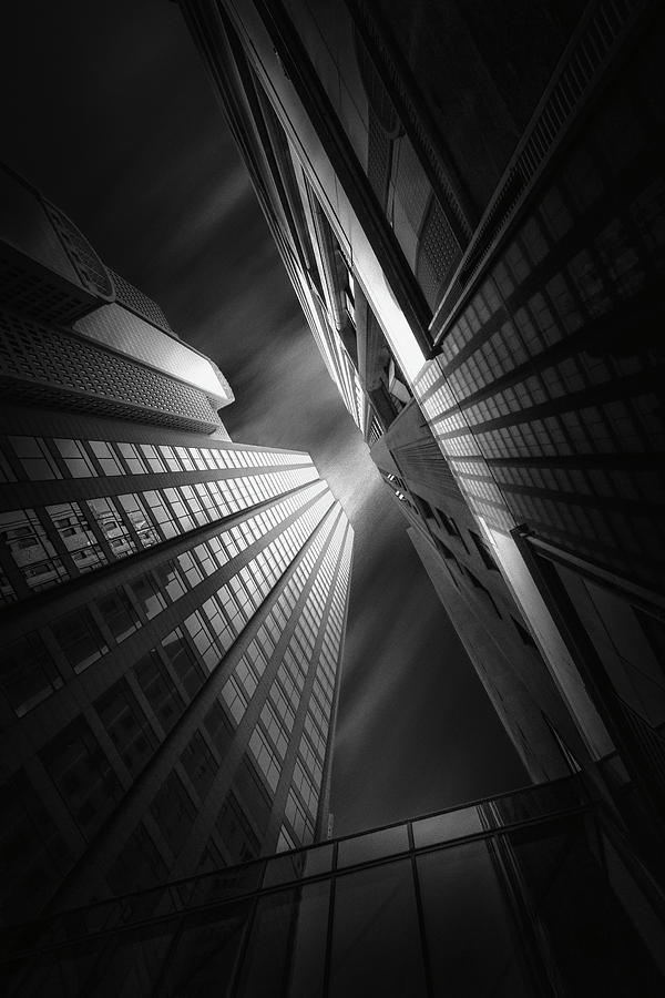 Looking Up Photograph by Fred Gramoso - Fine Art America