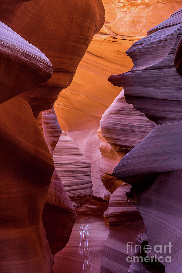 Lower Antelope Canyon #20 Photograph by Craig Shaknis