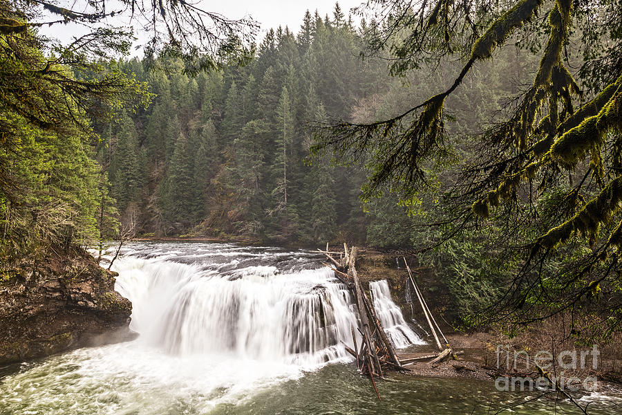 Lower Lewis River Falls In Washington State Photograph By Jamie Pham