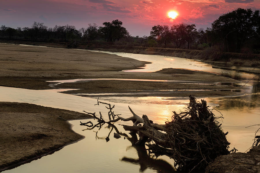 Luangwa River Sunset #2 Photograph by Fran Gallogly