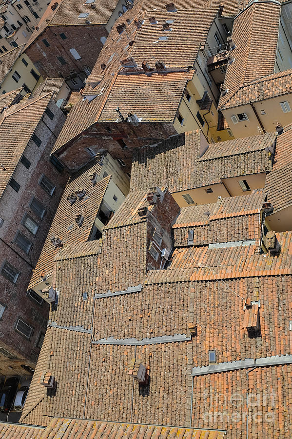 City Photograph - Lucca Italy #3 by Edward Fielding