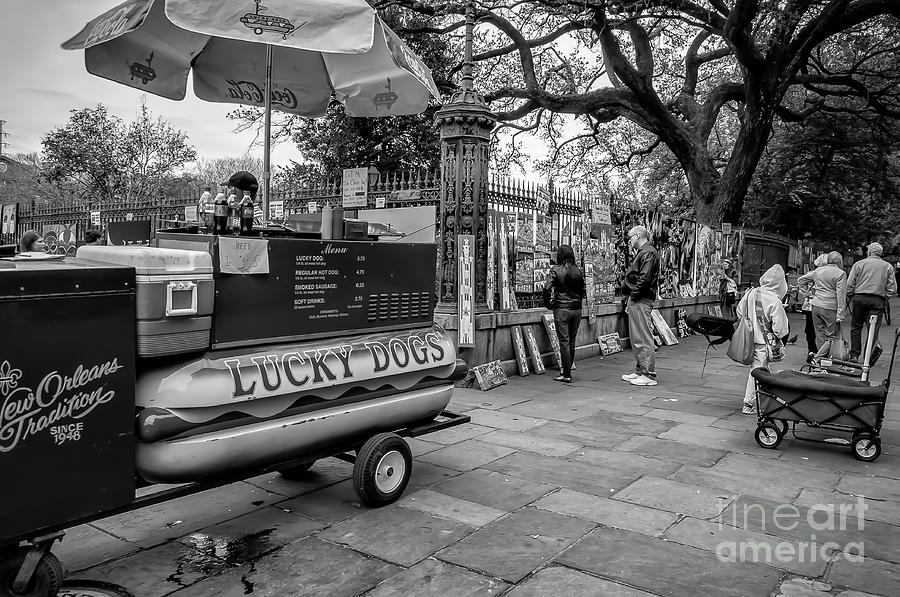 Lucky Dogs And Jackson Square - Nola Photograph