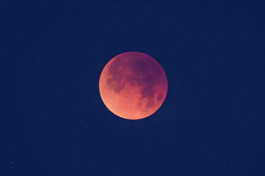 Lunar Eclipse #2 Photograph by Alan Vance Ley