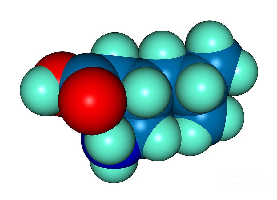 Lyrica Pregabalin Molecular Model #2 Photograph by Scimat