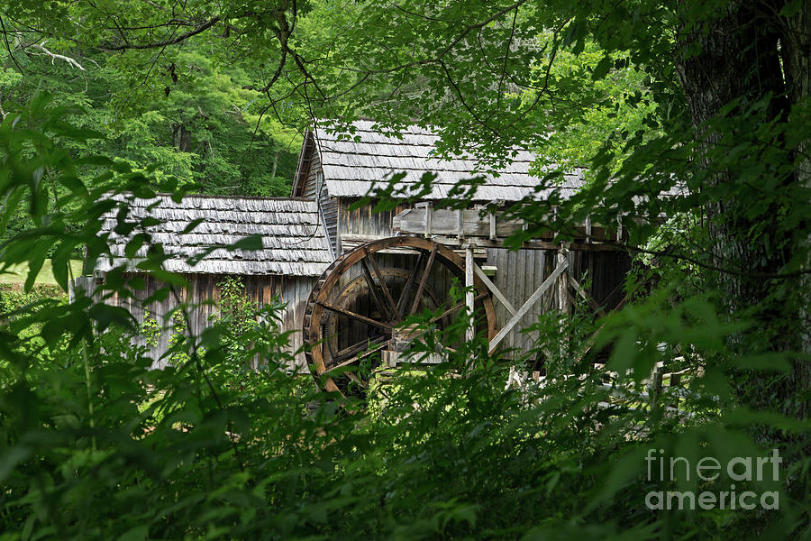 Mabry Mill #2 Photograph by Fred Stearns