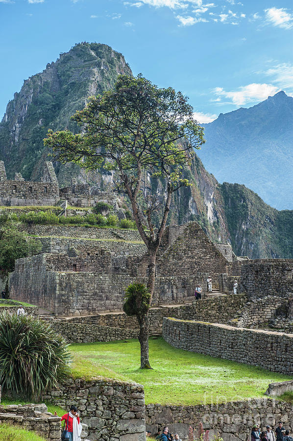 Machu Picchu Digital Art