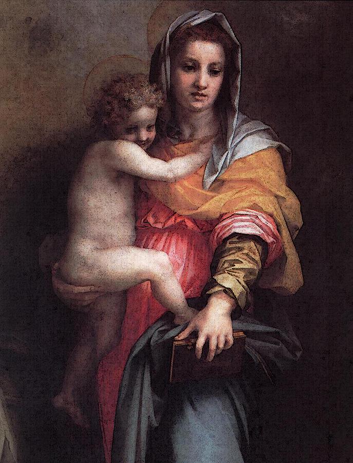 Madonna of the Harpies #6 Painting by Andrea del Sarto