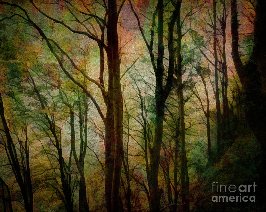 Magical Woods #2 Digital Art by Edmund Nagele FRPS
